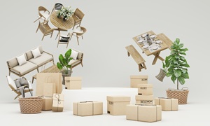 rental furnishings